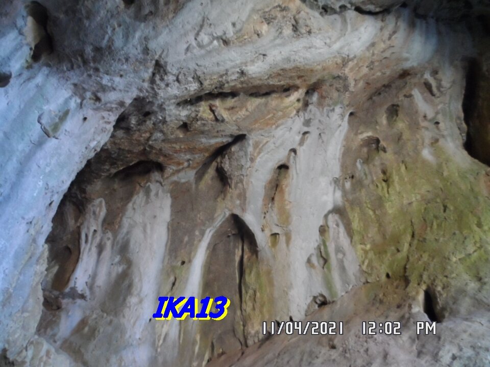 SAM_3229.JPG - ika13