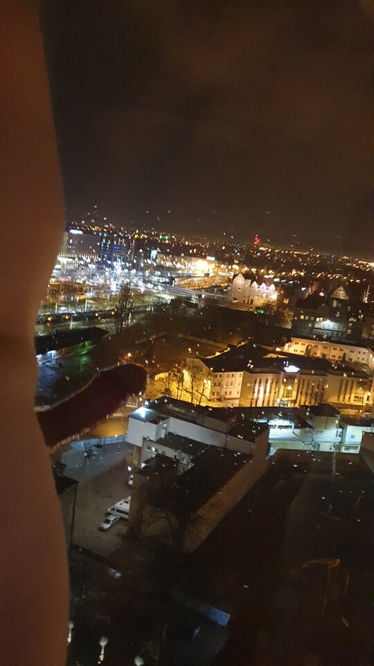 Ptak z góry nocą  - milfhunter90