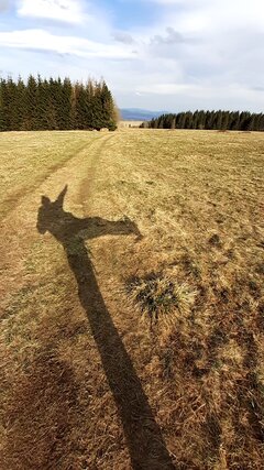 Chwytanie słońca ;-)