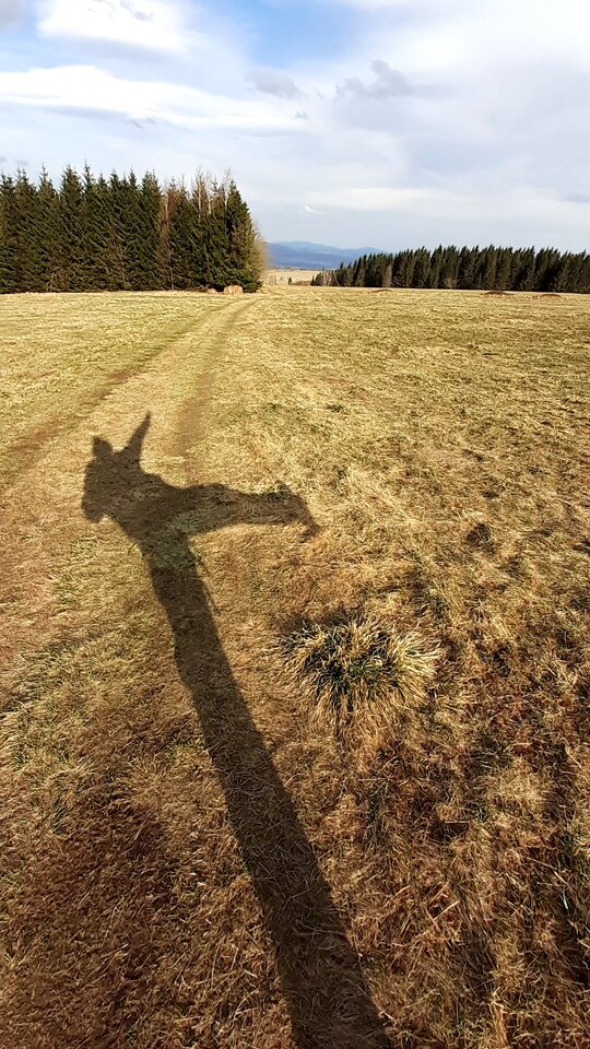 Chwytanie słońca ;-) - Ernesto65