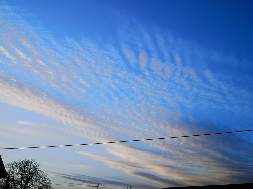 IMG_20210413_190747.jpg - Nie_wiara_nikomu