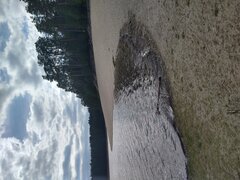 Przed sezonem ...tylko żaby coś działają__HDR.jpg