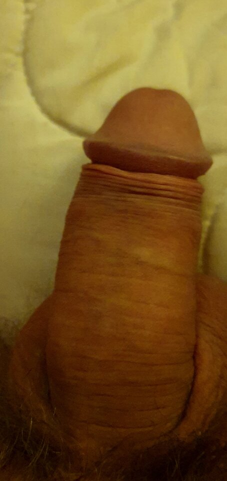 20210414_002026.jpg - robsxxxx
