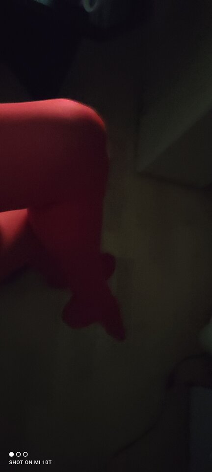 IMG_20210414_010503.jpg - juliadada