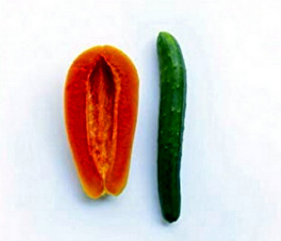 do pary.jpg - HomeManager