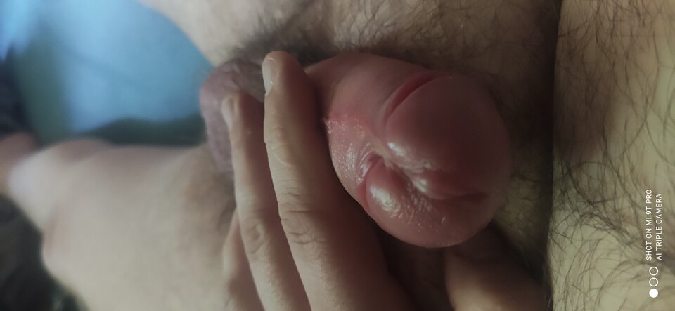 IMG_20210415_075911.jpg - Niebieskooki89wawa