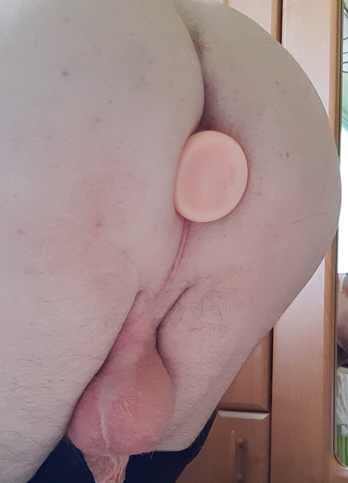 20210415_105417.jpg - Palciusia