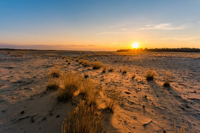 pustynia-37-800x533.jpg - Bakster82