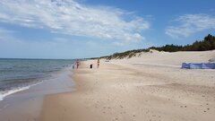 20190615_125138.jpg