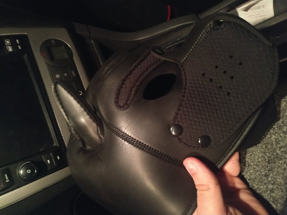 Fajna maska pieska :3 - grubasekbi_