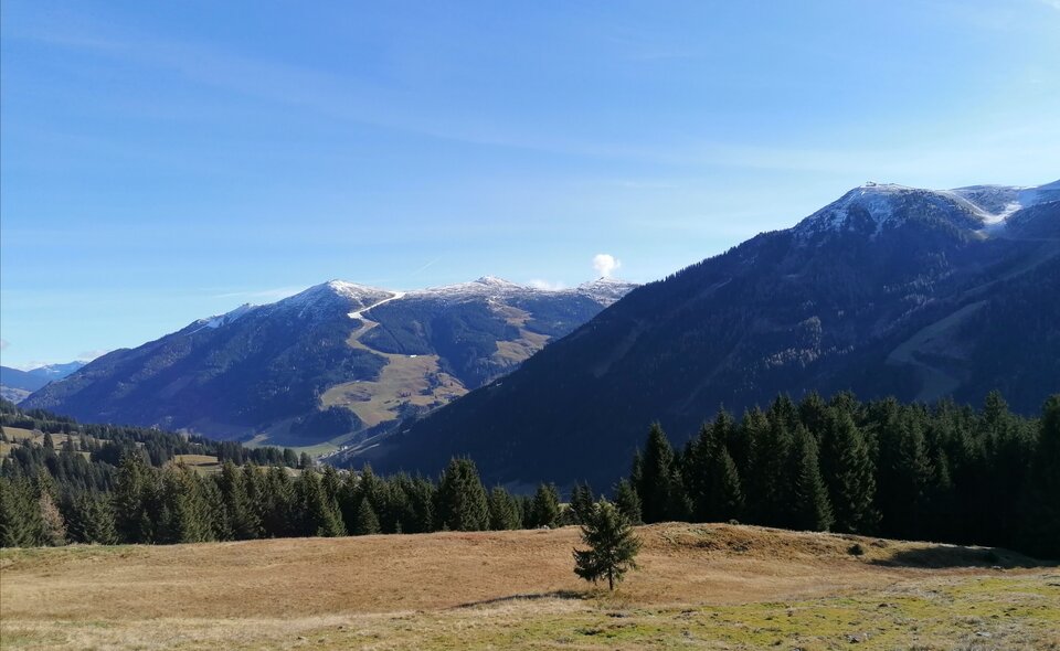 wiosna 😉 - michal19812808