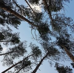 IMG_20210417_103853.jpg