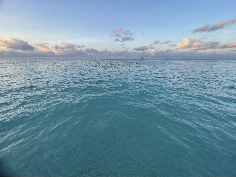 8FE14310-8CA2-4093-B103-3A7E933D0E39.jpeg - wa214