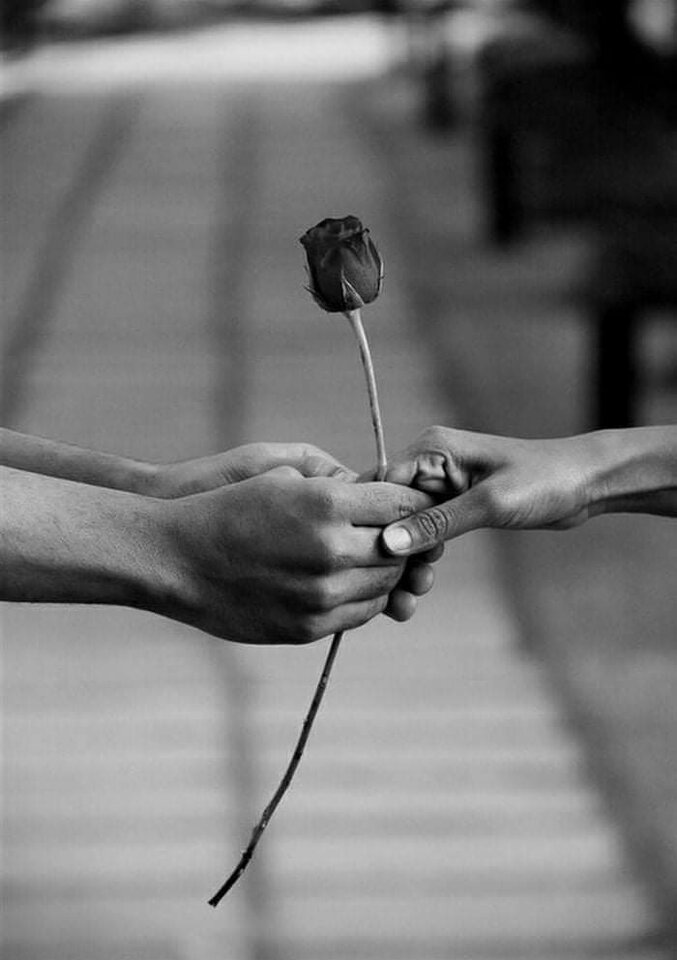 FB_IMG_1618723997405.jpg - Radosna5