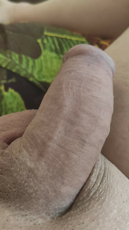 VID_20210412_085319_exported_66.jpg - danielchelmza