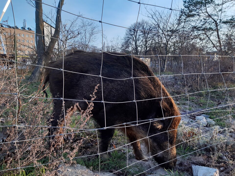 20210310_172905.jpg - torii99