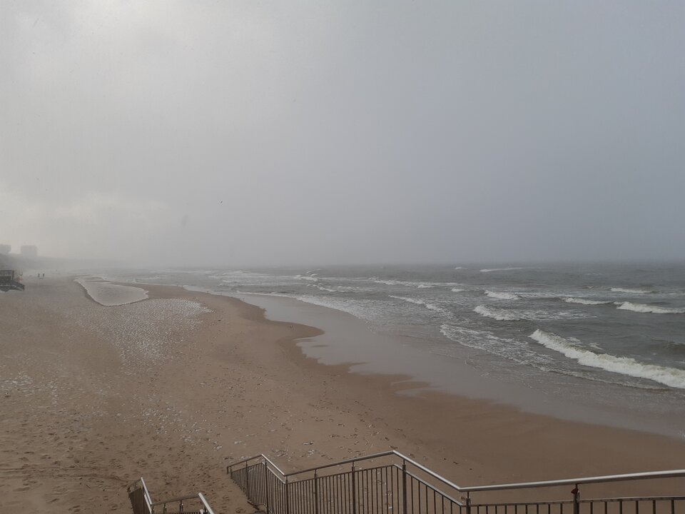 20210319_170559.jpg - torii99