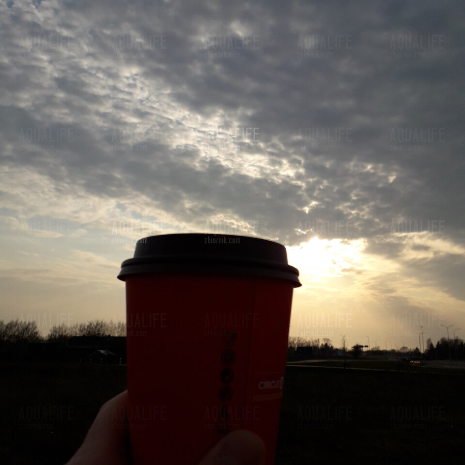 Mój zachód.. dołączysz😉? - Aqualife