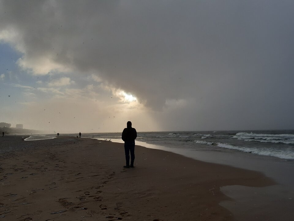 20210319_170330.jpg - torii99