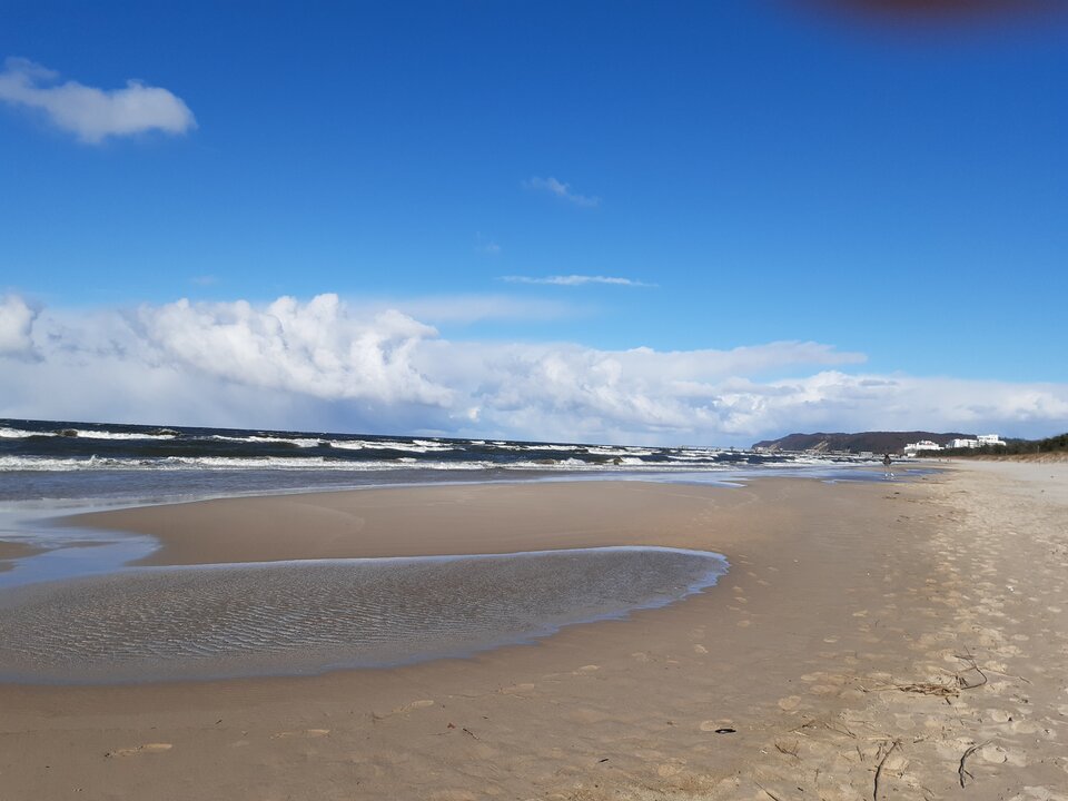 20210319_144434_001.jpg - torii99