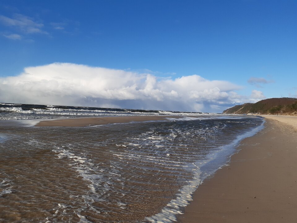 20210319_162330.jpg - torii99