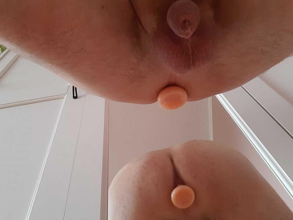 20210419_084704.jpg - Palciusia