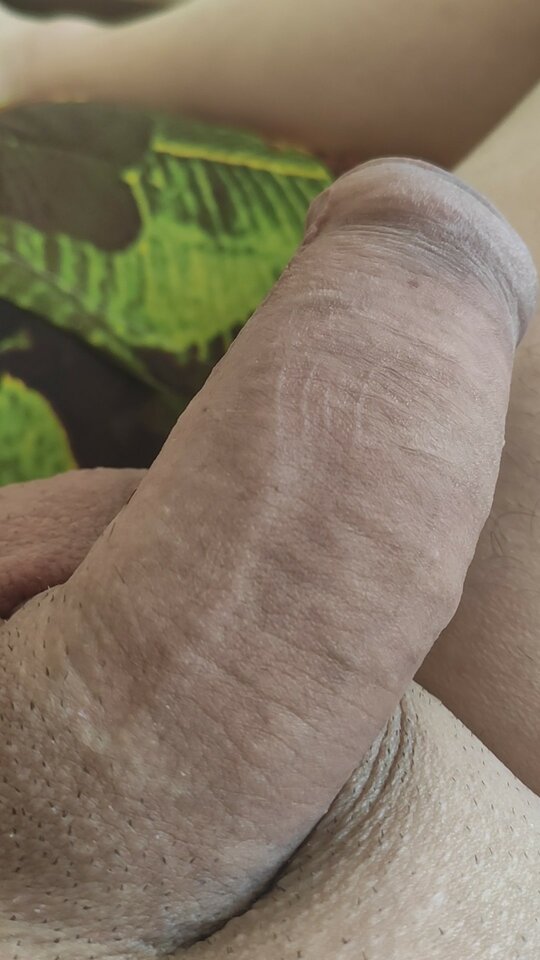 VID_20210412_085319_exported_3887.jpg - danielchelmza