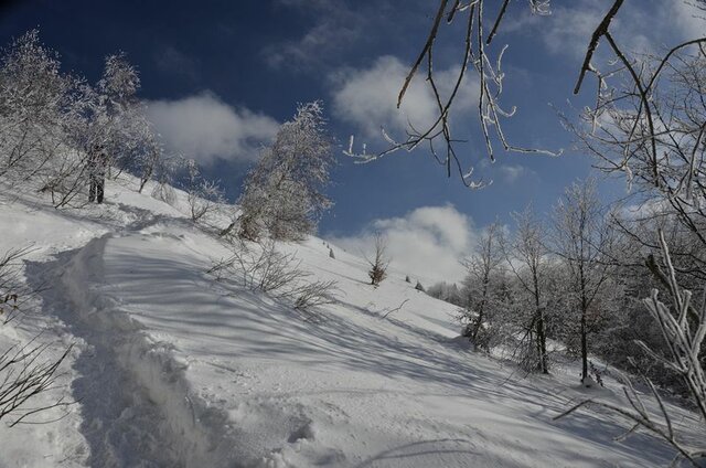 Wolność - benio074