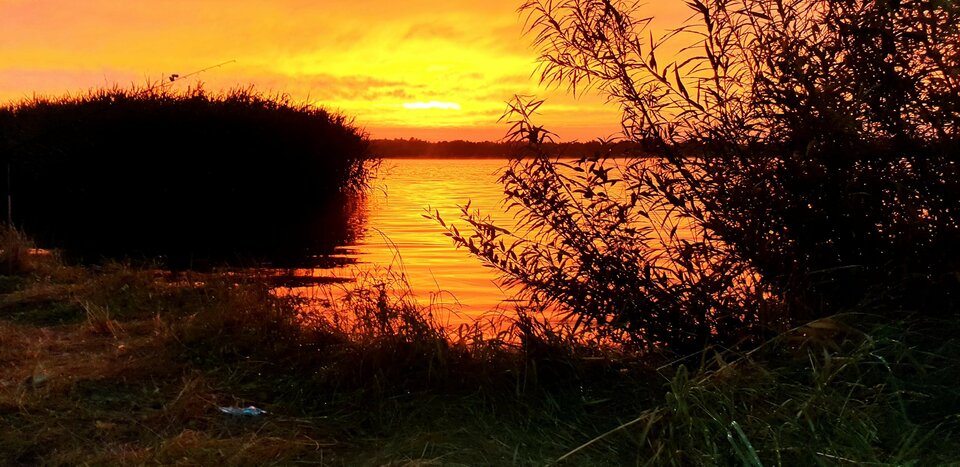 received_2595361190725115.jpeg - Wolff39