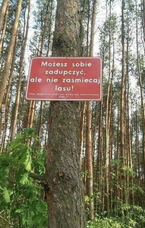 6F270431-8083-4363-A562-6B43A4898A21.jpeg - DymamCie