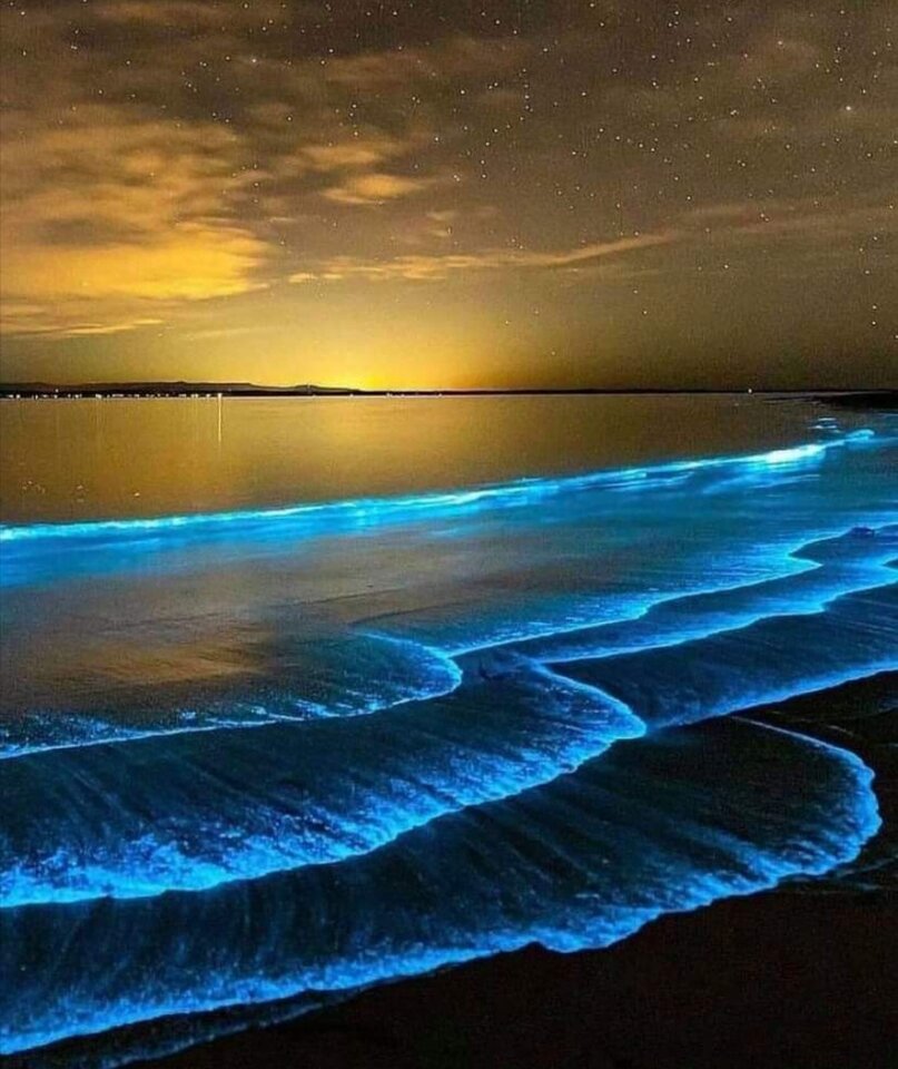 IMG_20210421_220840.jpg - Puch_chatka