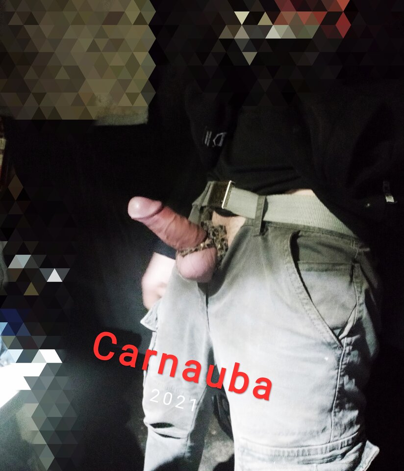 IMG_20210422_034322.jpg - Carnauba