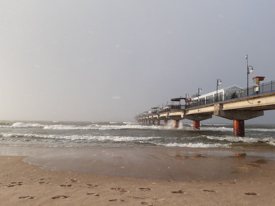 20210319_170239.jpg - torii99