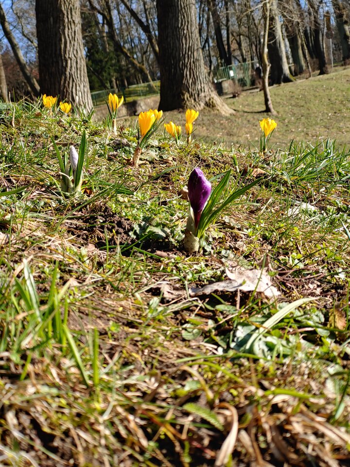 20210321_155232_HDR.jpg - bobb2