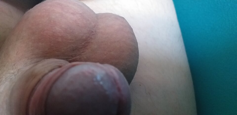 20210422_114450.jpg - robercu