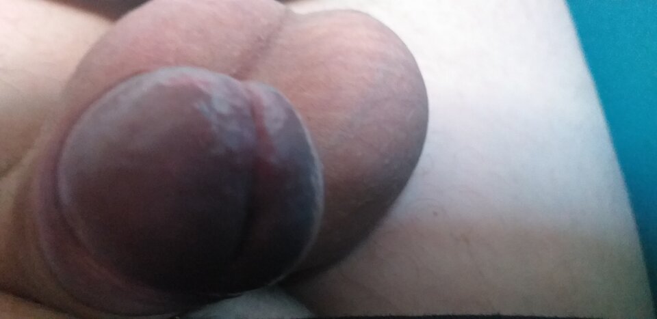 20210422_114442.jpg - robercu