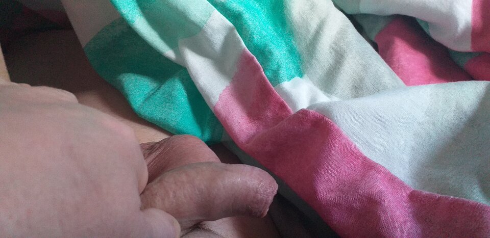 20210422_114426.jpg - robercu