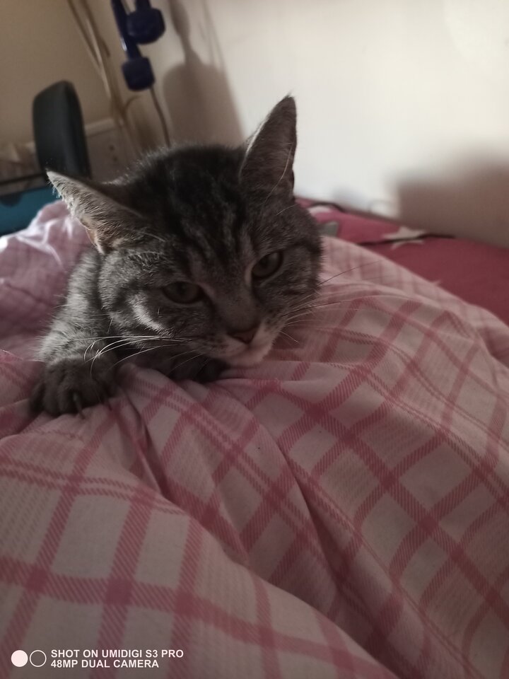 IMG_20210421_175204.jpg - As_U_wish