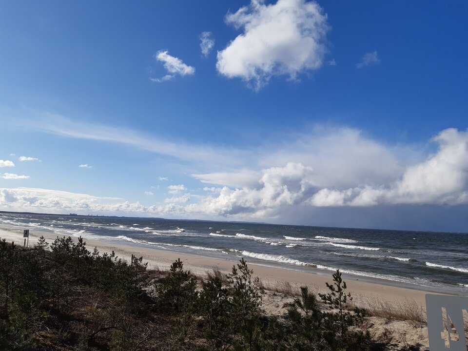 20210319_145028.jpg - torii99