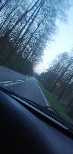 LIVE! On this moment!