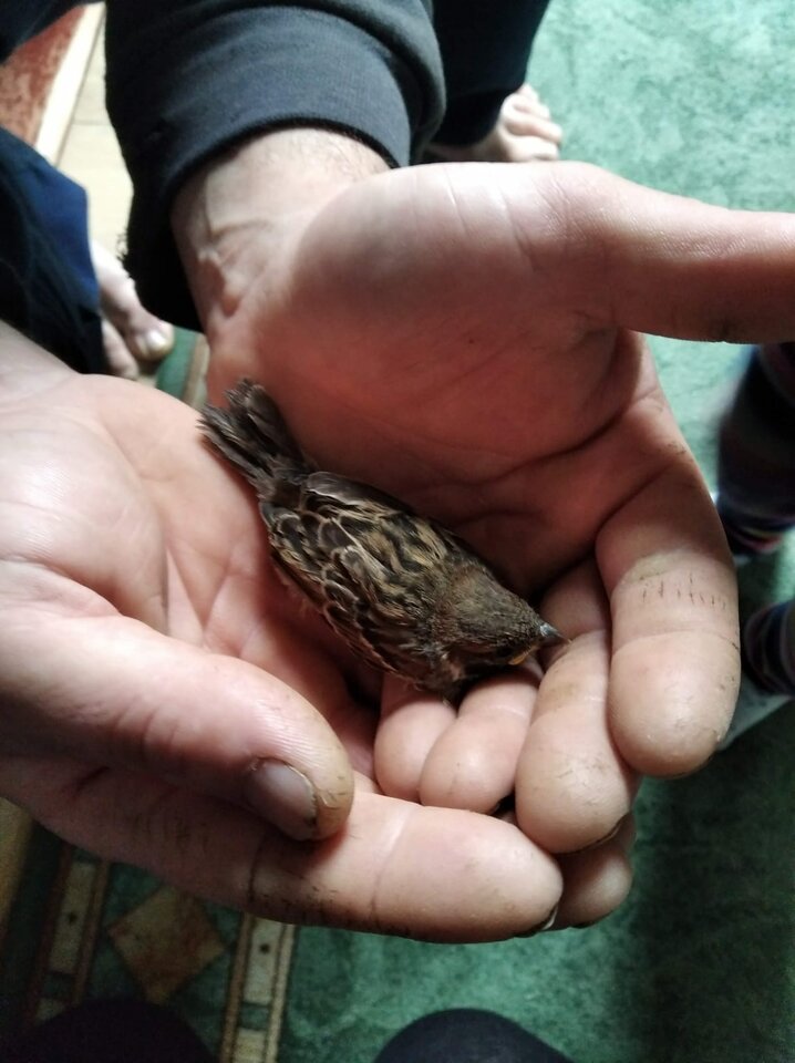 4DDFAF2C-2B3D-4AB7-B002-0A1BA9B05714.jpeg - Bogo1986