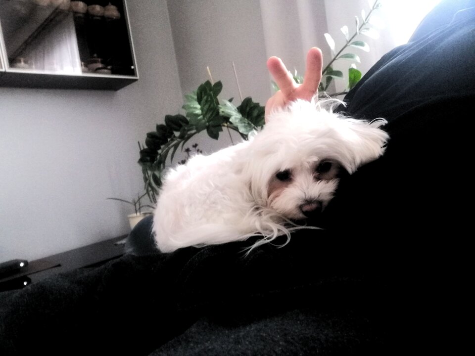 Słodka przylepa ❤️ - JeyJey87