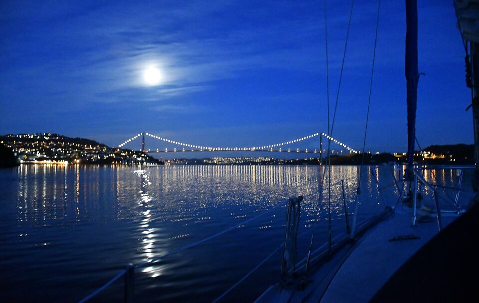 IMG_20210424_200319.jpg - Puch_chatka