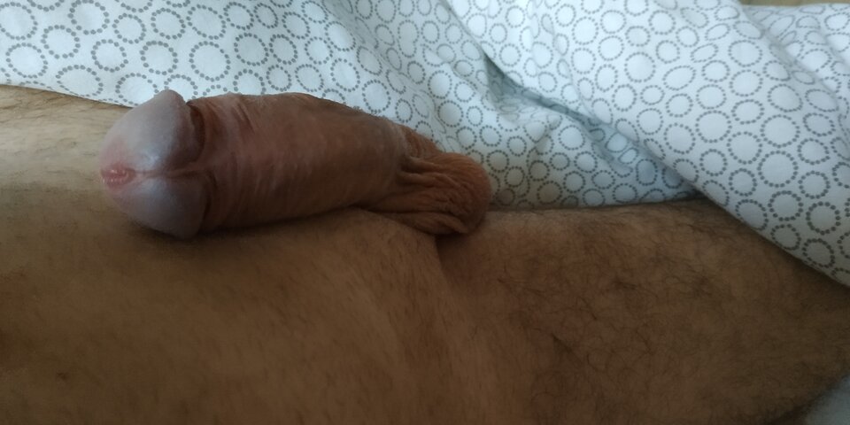 IMG_20210417_064052.jpg - bi32slupsk