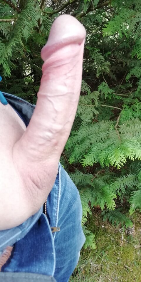 IMG_20210425_092134.jpg - hej34