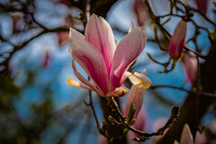 W słońcu i w cieniu