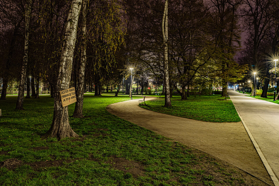 Nocą w parku - mystic
