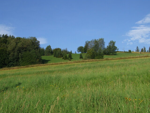 ViscaelB