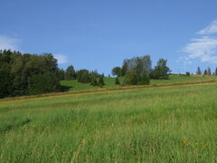 DSCF3334.JPG