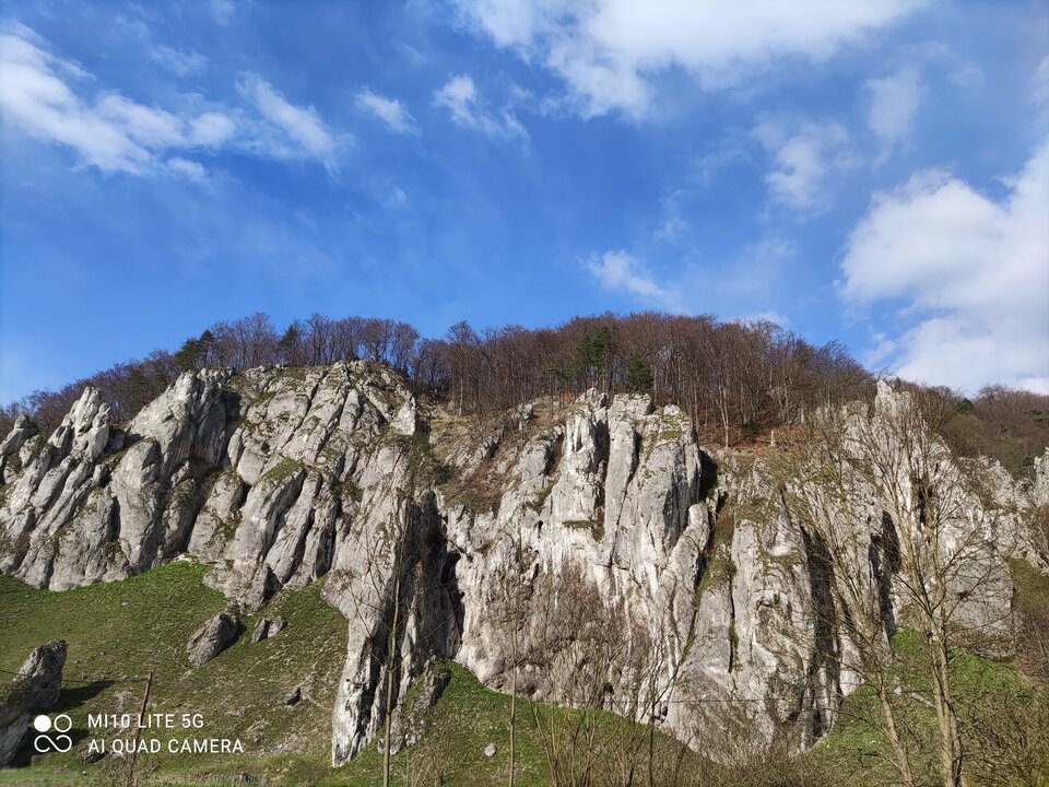 IMG_20210425_164037.jpg - MattVegass